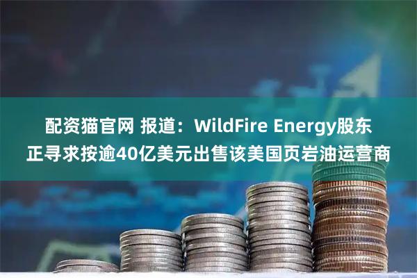 配资猫官网 报道：WildFire Energy股东正寻求按逾40亿美元出售该美国页岩油运营商