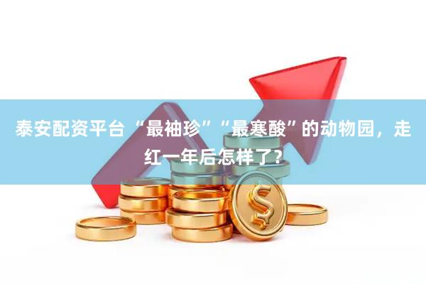 泰安配资平台 “最袖珍”“最寒酸”的动物园，走红一年后怎样了？
